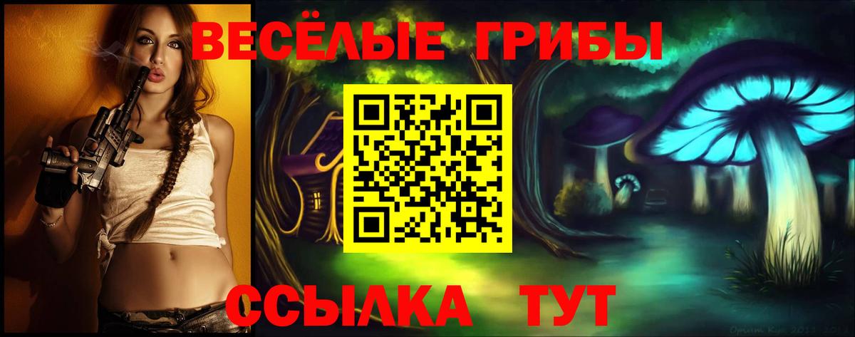 Галлюциногенные грибы ЛСД  Псилоцибиновые грибы ЛСД  купить закладку  Мыски  Вход с VPN 